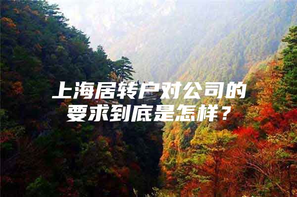 上海居转户对公司的要求到底是怎样？