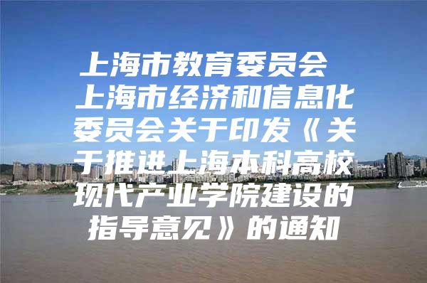 上海市教育委员会 上海市经济和信息化委员会关于印发《关于推进上海本科高校现代产业学院建设的指导意见》的通知