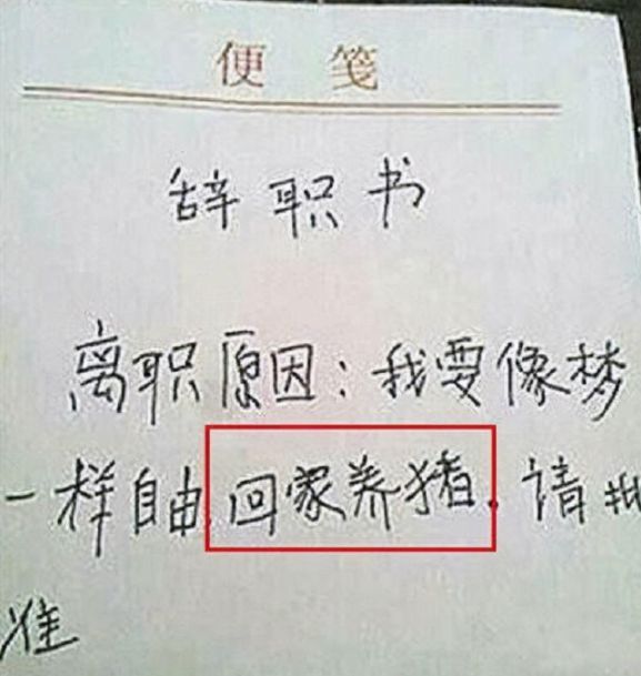 毕业生“花式”辞职信走红，不好好学习就继承家业，老板无法反驳