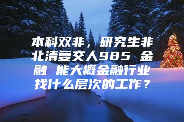 本科双非，研究生非北清复交人985 金融 能大概金融行业找什么层次的工作？