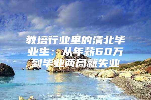 教培行业里的清北毕业生：从年薪60万到毕业两周就失业