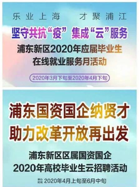 “三多”为毕业生托起稳稳的幸福，浦东新区今年超8成高校毕业生实现就业