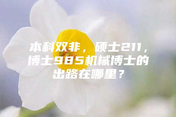 本科双非，硕士211，博士985机械博士的出路在哪里？