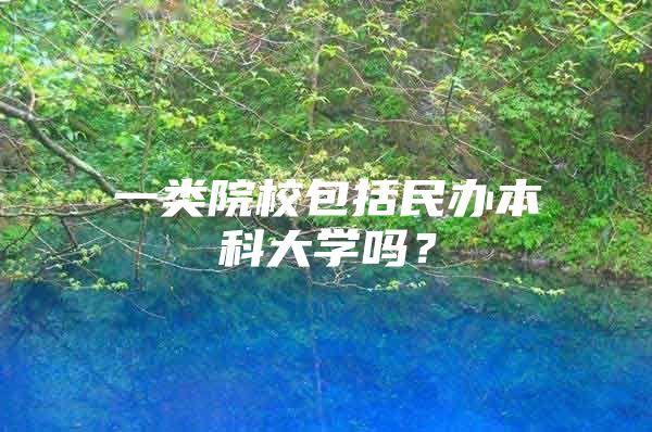 一类院校包括民办本科大学吗？