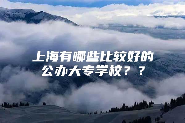 上海有哪些比较好的公办大专学校？？