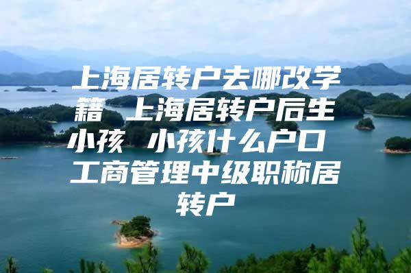 上海居转户去哪改学籍 上海居转户后生小孩 小孩什么户口 工商管理中级职称居转户