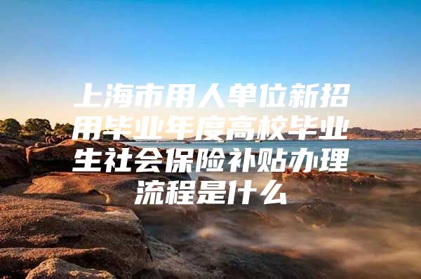 上海市用人单位新招用毕业年度高校毕业生社会保险补贴办理流程是什么