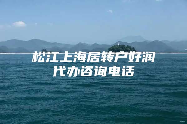 松江上海居转户好润代办咨询电话