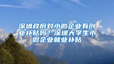 深圳政府对小微企业有创业补贴吗？深圳大学生小微企业就业补贴