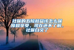 社保的五险权益该怎么保障和享受，现在还不了解，社保白交了