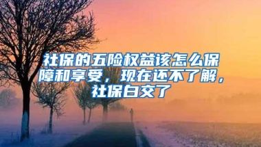 社保的五险权益该怎么保障和享受，现在还不了解，社保白交了