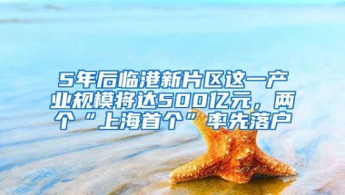 5年后临港新片区这一产业规模将达500亿元，两个“上海首个”率先落户