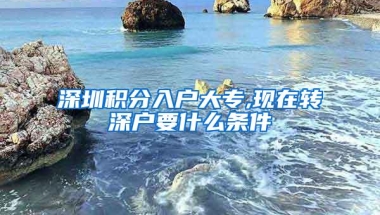 深圳积分入户大专,现在转深户要什么条件