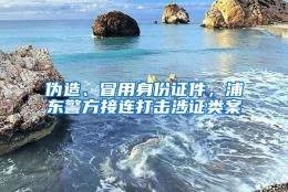 伪造、冒用身份证件，浦东警方接连打击涉证类案