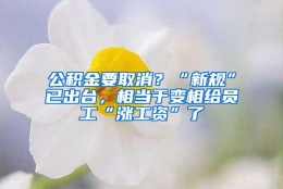 公积金要取消？“新规”已出台，相当于变相给员工“涨工资”了