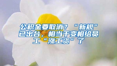 公积金要取消？“新规”已出台，相当于变相给员工“涨工资”了