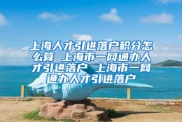 上海人才引进落户积分怎么算 上海市一网通办人才引进落户 上海市一网通办人才引进落户