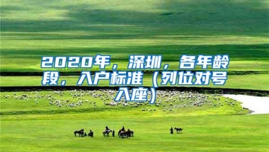 2020年，深圳，各年龄段，入户标准（列位对号入座）