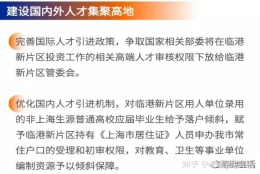 临港新片区 非985、211高校毕业生给予落户