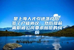 是上海人才引进落户后，签了户籍协议，然后提前离职被公司要求赔偿的纠纷