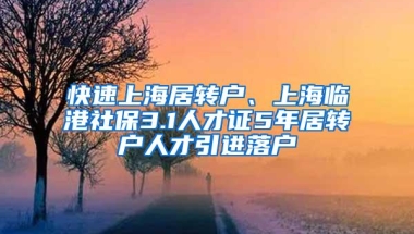 快速上海居转户、上海临港社保3.1人才证5年居转户人才引进落户