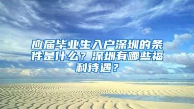 应届毕业生入户深圳的条件是什么？深圳有哪些福利待遇？