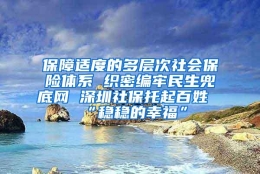 保障适度的多层次社会保险体系 织密编牢民生兜底网 深圳社保托起百姓“稳稳的幸福”