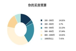 手拿400万还是输了：上海买房人困在积分系统里