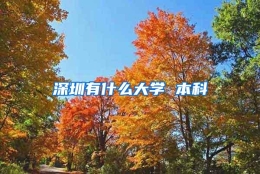 深圳有什么大学 本科