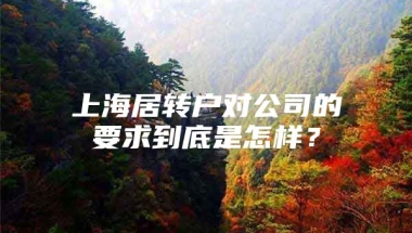 上海居转户对公司的要求到底是怎样？