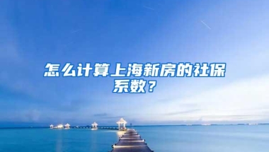 怎么计算上海新房的社保系数？