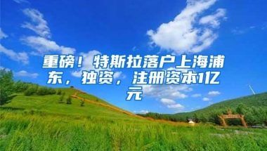 重磅！特斯拉落户上海浦东，独资，注册资本1亿元