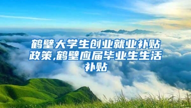 鹤壁大学生创业就业补贴政策,鹤壁应届毕业生生活补贴