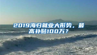 2019海归就业大形势，最高补贴100万？