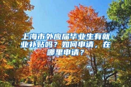 上海市外应届毕业生有就业补贴吗？如何申请，在哪里申请？