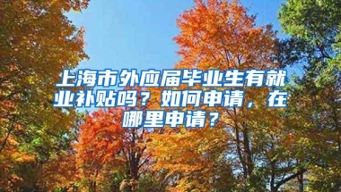 上海市外应届毕业生有就业补贴吗？如何申请，在哪里申请？