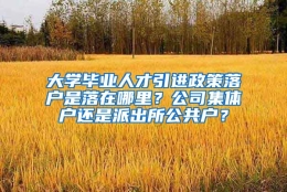 大学毕业人才引进政策落户是落在哪里？公司集体户还是派出所公共户？