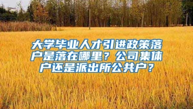 大学毕业人才引进政策落户是落在哪里？公司集体户还是派出所公共户？