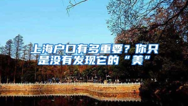 上海户口有多重要？你只是没有发现它的“美”