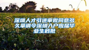 深圳人才引进审批同意多久拿调令深圳入户应届毕业生秒批