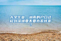 大学毕业，湖南的户口迁移到深圳要不要办农转非？