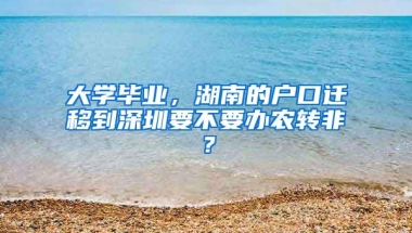 大学毕业，湖南的户口迁移到深圳要不要办农转非？