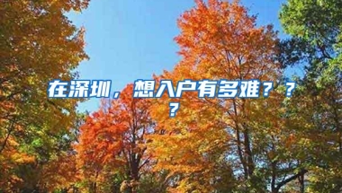 在深圳，想入户有多难？？？