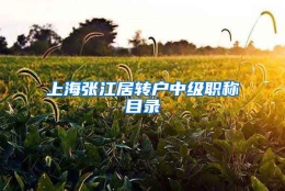 上海张江居转户中级职称目录