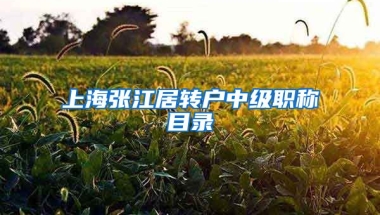 上海张江居转户中级职称目录