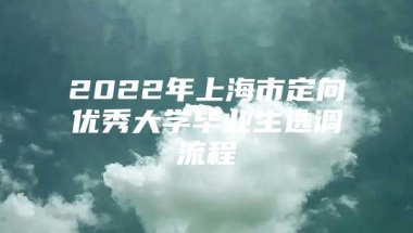 2022年上海市定向优秀大学毕业生选调流程