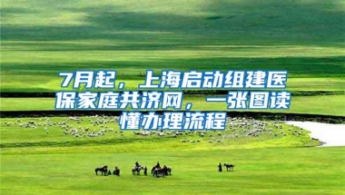 7月起，上海启动组建医保家庭共济网，一张图读懂办理流程