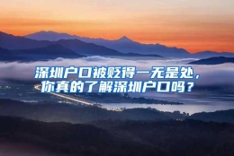 深圳户口被贬得一无是处，你真的了解深圳户口吗？