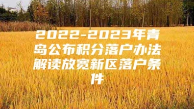 2022-2023年青岛公布积分落户办法解读放宽新区落户条件