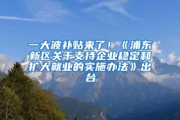 一大波补贴来了！《浦东新区关于支持企业稳定和扩大就业的实施办法》出台